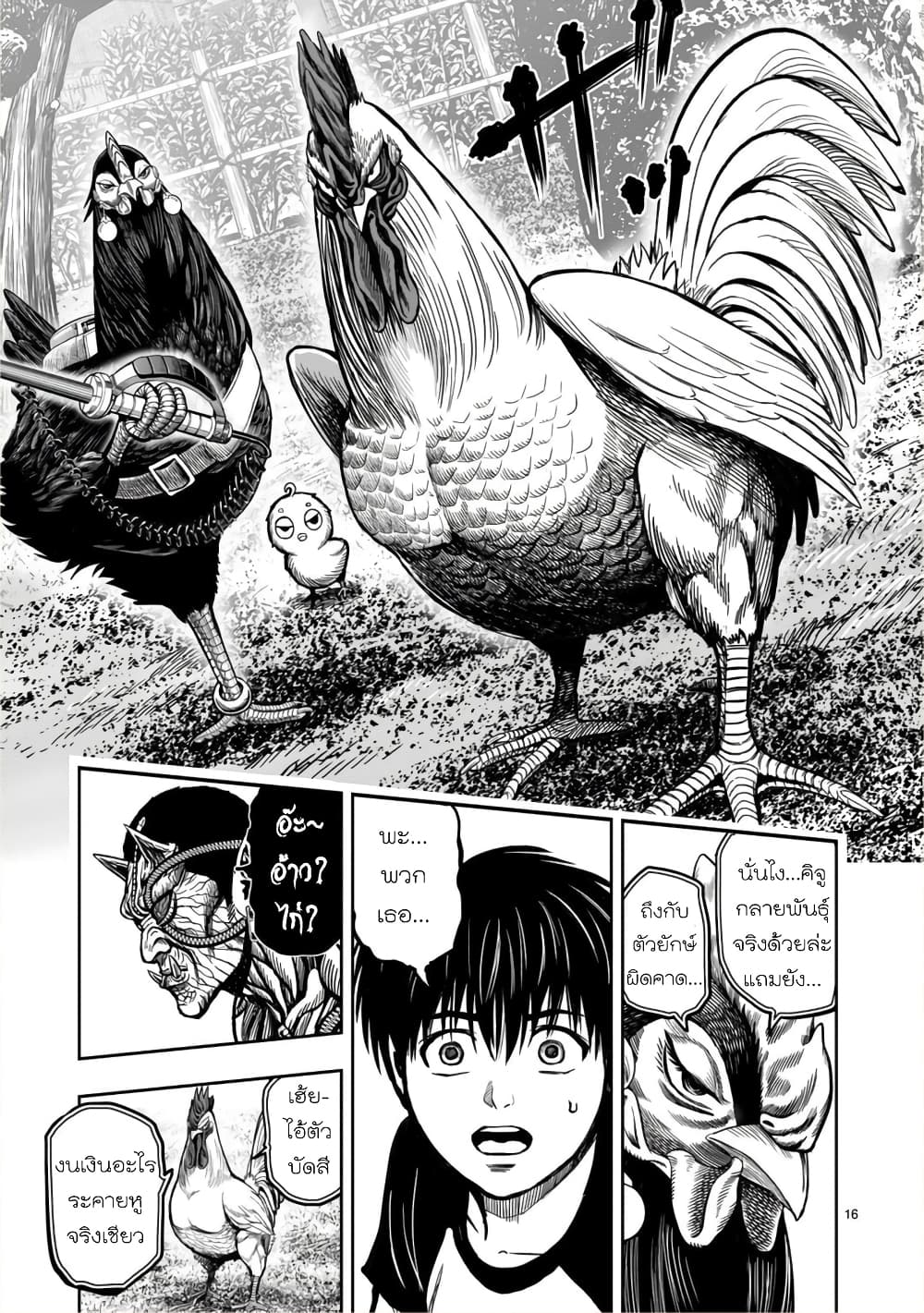 Rooster Fighter 10 (15)